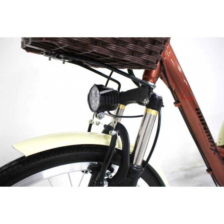 Электровелосипед GreenCamel Трайк-20 (R20 500W 48V 15Ah) Складной фото3